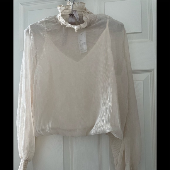 New -  RUFFLED BLOUSE from Nordstrom - Picture 2 of 6